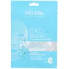 Image de Weleda Masque EXO Boost Hydrobounce
