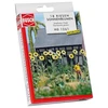 Image de ModÃ©lisme HO : Tournesols GÃ©ants