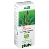 Image de Salus Jus pressé de plantain bio