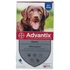 Image de Advantix Grand chien de 25 kg - 40 kg