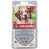 Image de Advantix Chien moyen de 10 kg - 25 kg