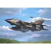 Image de Maquette avionÂ : Panavia Tornado GR. 1 RAF