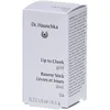 Image de Dr. Hauschka Lip to Cheek 04 Gold