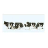 Image de ModÃ©lisme HO : Figurines : Set de 6 vaches noires et blanches