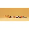 Image de ModÃ©lisme HO Figurines : Chiens et chats