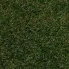 Image de ModÃ©lisme HO, N, TT : Fibre de flocage herbes sauvages, vert foncÃ©