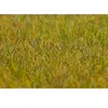 Image de ModÃ©lisme : VÃ©gÃ©tation : Fibres de flocage premium, Prairie, vert clair