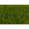 Image de ModÃ©lisme : VÃ©gÃ©tation : Fibres de flocage premium, Herbe, vert foncÃ©
