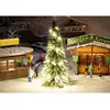 Image de DÃ©cor : Coffret Sapin de NoÃ«l