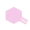 Image de TS25 - Bombe AÃ©rosol - 100 ML : Rose Brillant