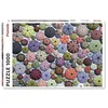 Image de Piatnik - Puzzle 1000 Pièces Oursin - Puzzle en Carton 1000 Pièces - Fabriqué en Autriche - 5488