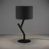 Image de Eglo BALNARIO Lampe de table, E27, 39888,