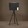 Image de Eglo TORTOLA 1 Lampe de table, E27, 39965,