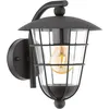 Image de Eglo 94841 Lampe d'Extérieur, Argent