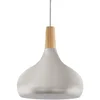 Image de Eglo Suspension Sabinar, lampe suspendue 1 flamme, suspension en acier et bois, couleur : argent brossé, marron, douille : E27, Ø : 28 cm