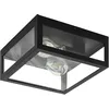Image de Eglo Luminaire plafonnier Amezola, applique murale avec 2 spots, lampe de plafond industrielle et vintage en acier noir et verre pour salon, cuisine et salle de bains, douille E27, IP44