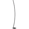Image de Eglo LED lampe sur pied Picacha, luminaire salon avec éclairage indirect, lampadaire courbé, métal noir, blanc chaud, 162,5 cm