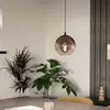 Image de Eglo ARISCANI Suspension E27, 1 source lumineuse, 901923,