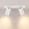 Image de Molto Luce MISSOR II SD Projecteur, GU10, 222-00023,