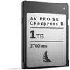 Image de Angelbird AV Pro SE CFexpress B v4 MK2 1TB   Carte mémoire Type B, 3700Mo/s Lecture, 2300Mo/s écriture, Stable Stream , 12K RAW, Protection Thermique, résistante aux Chocs et à l’humidité