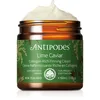 Image de LIME CAVIAR Crème raffermissante riche en collagène Antipodes 60 ml