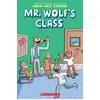 Image de Mr Wolf's Class