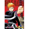 Image de Bleach (3-in-1 Edition), Vol. 1