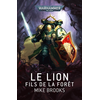Image de Le lion : fils de la forêt