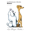 Image de Classique Hachette - Les Précieuses ridicules, Molière