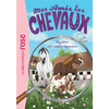 Image de Mes amis les chevaux. Vol. 12. Mystère au centre équestre