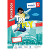Image de Try n' fly, anglais 3e, cycle 4, A2-B1 : workbook