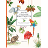 Image de Faune et flore exotiques à colorier