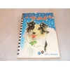 Image de Le Noël du chien de berger