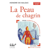 Image de La peau de chagrin : programme du bac