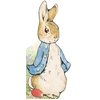 Image de Bonjour, Pierre Lapin !