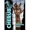 Image de Cherub - Mission 3 : Arizona Max