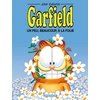 Image de Garfield - Tome 47 - Un peu, beaucoup, à la folie