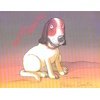 Image de Machin chouette