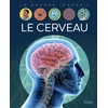 Image de Le cerveau