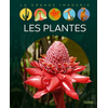 Image de Les plantes