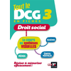 Image de Tout le DCG 3 en fiches : droit social : le cours en synthèses visuelles, mémos, cartes mentales, schémas