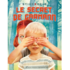 Image de Le secret de Garmann