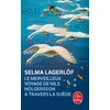 Image de Le merveilleux voyage de Nils Holgersson à travers la Suède