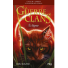 Image de La guerre des clans - Cycle III : Le pouvoir des étoiles - Tome 4 Eclipse -poche-