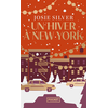 Image de Un hiver à New York