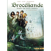 Image de Brocéliande : forêt du petit peuple. Vol. 3. Le jardin aux moines