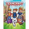 Image de Teamcraft T01 - Face au tri Enderdragon