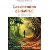Image de Les chemins de Gabriel: Une odyssée créole