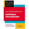 Image de Les indispensables du Droit des institutions internationales