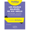 Image de Les enjeux majeurs du XXIe siècle : économie, société et environnement : l'actualité en 96 fiches